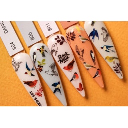 RockNail Слайдер Birds Set