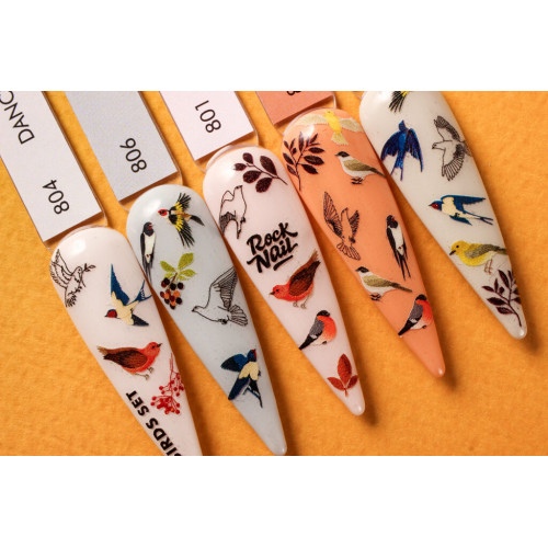RockNail Слайдер Birds Set